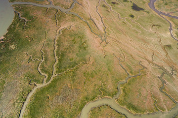 Grandes marées en Baie de Somme