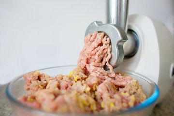 Preparation of mincemeat in house conditions by means of the white electric meat grinder