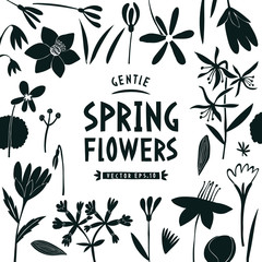 Spring flowers design template. Scandinavian style banner. Hand drawn vector illustrations - obrazy, fototapety, plakaty