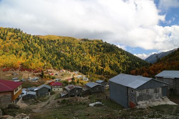 Fototapeta na wymiar Autumn forest and village photos.savsat/artvin turkey 