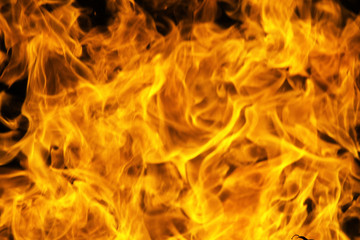 Fire flame texture background.