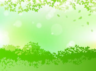 fresh green and sunbeams leaves background material