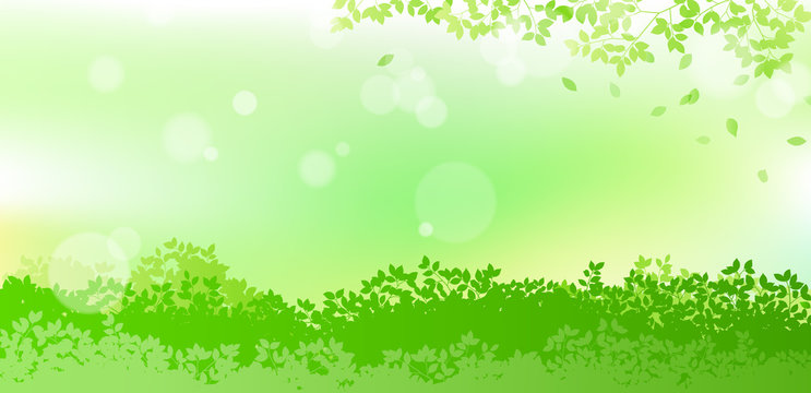 fresh green and sunbeams leaves background material