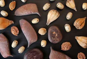 Seeds of exotic plants