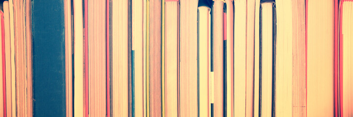 Panoramic background of books aligned