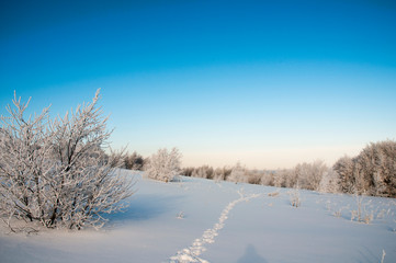 frosty day on the top of the mountain