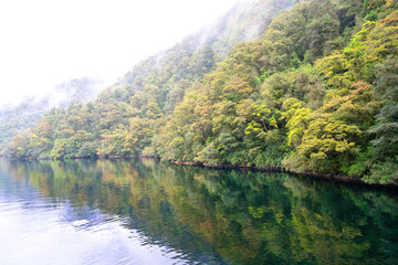 Mountains meet the sea of Doubtful Sound