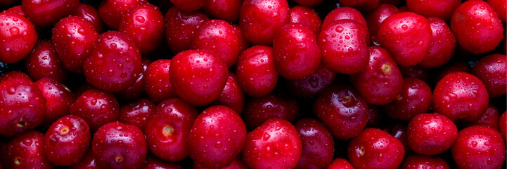 Freshly picked cherries with drops of dew and water. The concept of harvesting. Can be used as a banner, wallpaper, background. Flat lay, top view