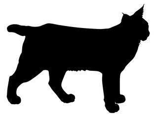 Bobcat Vector Silhouette
