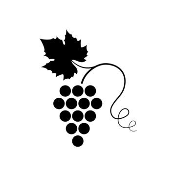 Vector illustration of icon with bunch ripe grapes with leaf and curlicue . Black symbol or logo isolated on white background. For advertising or promotion of product on market