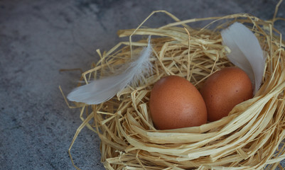 Brown chicken eggs with white feathers in hay nest on light concrete. closeup of farm eggs. horizontal view of raw chicken eggs. Village concept