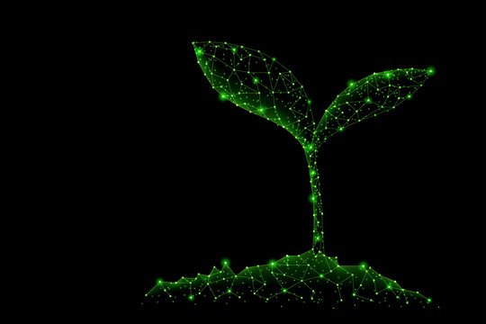 Abstract polygonal light of sprout from earth