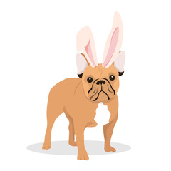 A dog with bunny ears