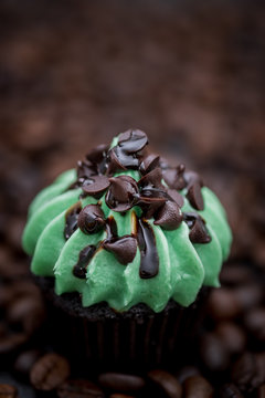 Tasty cupcakes Homemade  muffin  with cream buttercream for birthday, valentine, and christmas holliday