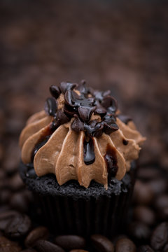 Tasty cupcakes Homemade  muffin  with cream buttercream for birthday, valentine, and christmas holliday