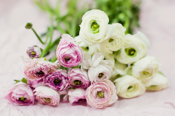 white and pink ranunculus