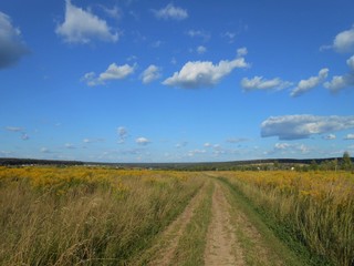 Landscape in the field with road and blue sky and fluffy white clouds.