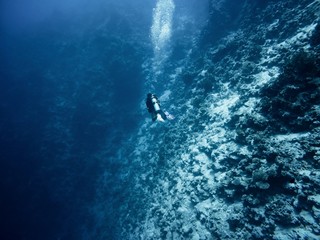 Diver goes deep into the sea