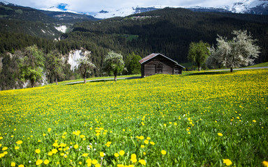 Landschaft in der Schweiz. Frühling in den Bergen.