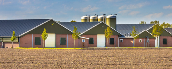 Large modern barns crop