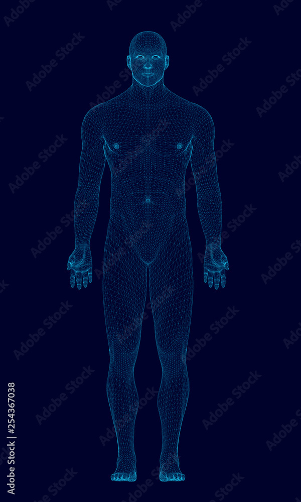 Poster wireframe model man of blue lines on a dark background. front view. 3d. polygonal man. vector illust