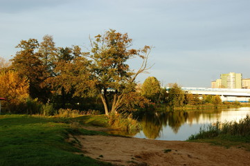 Trees reflected in water.