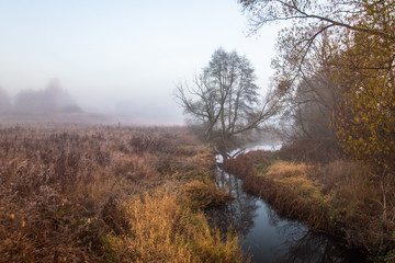 Obraz na płótnie Canvas Morning river in forest