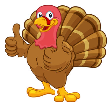 Turkey Thanksgiving or Christmas bird animal cartoon character giving a thumbs up