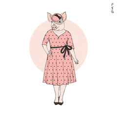 Pig zodiac sign. Chinese animal feminine horoscope. Anthropomorphic mascot character. Chinese New Year