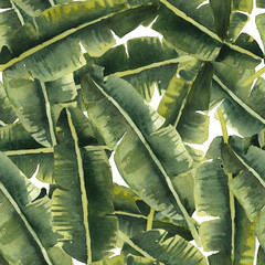 Watercolor banana palm leaves. Tropical seamless pattern