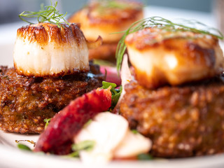 Scallops