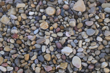 Piedras húmedas variadas en la playa