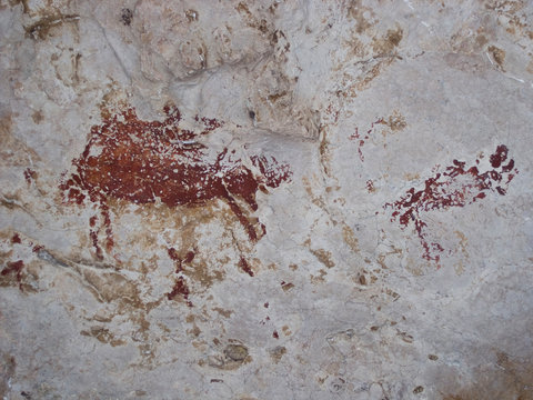 Born&eacute;o, art pari&eacute;tal ou peintures rupestres