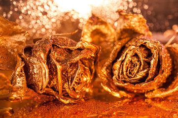 Abstract macro fine-art background with golden roses and water drops. Symbol of love, wealth, rich.