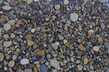 Piedras húmedas variadas en la playa