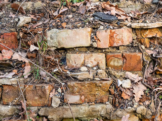 Photo of old ruined brick wall texture overgrown with plants