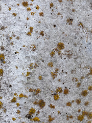 Texture of old reinforced concrete surface with rust and moss. Armored concrete column