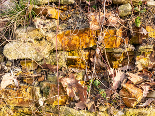 Photo of old ruined brick wall texture overgrown with plants