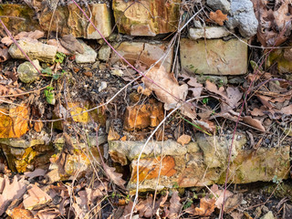 Photo of old ruined brick wall texture overgrown with plants