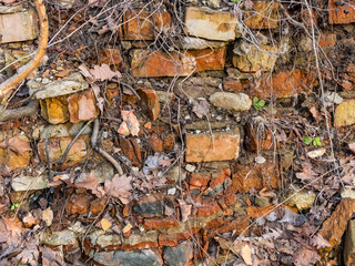 Photo of old ruined brick wall texture overgrown with plants