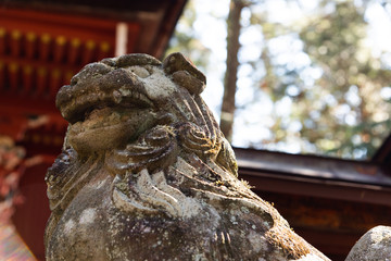 神社の狛犬