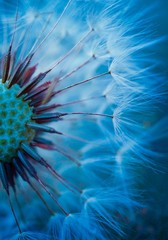 dandelion flower plant