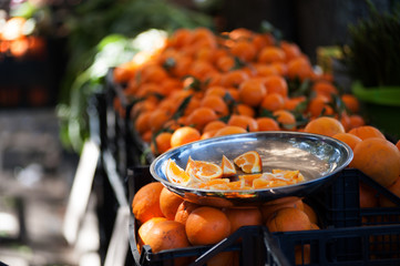 fiori frutti e piante e piante in esposizione botanica
