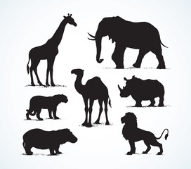 Naklejka premium African animals. Vector drawing