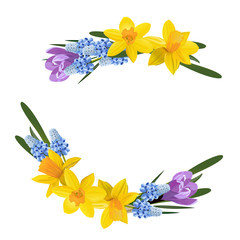 Floral design. Spring yellow daffodils or narcissus wreath bow. Vector illustration. Isolated on a white background.