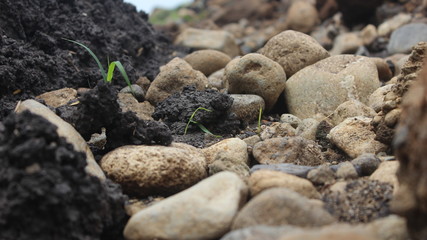 Beautiful stone texture structure background in Indonesia