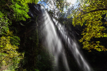 Beautiful rays of light protruding through high waterfall and lush vegetation in rainforest