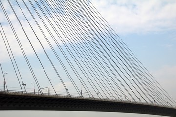 Fototapeta na wymiar Tower Bridge at Ada Belgrade. Cables at tower provide bridge construction. High pylon.
