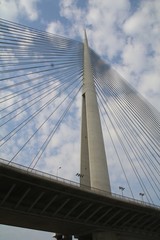 Tower Bridge at Ada Belgrade. Cables at tower provide bridge construction. High pylon.