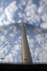 Tower Bridge at Ada Belgrade. Cables at tower provide bridge construction. High pylon.